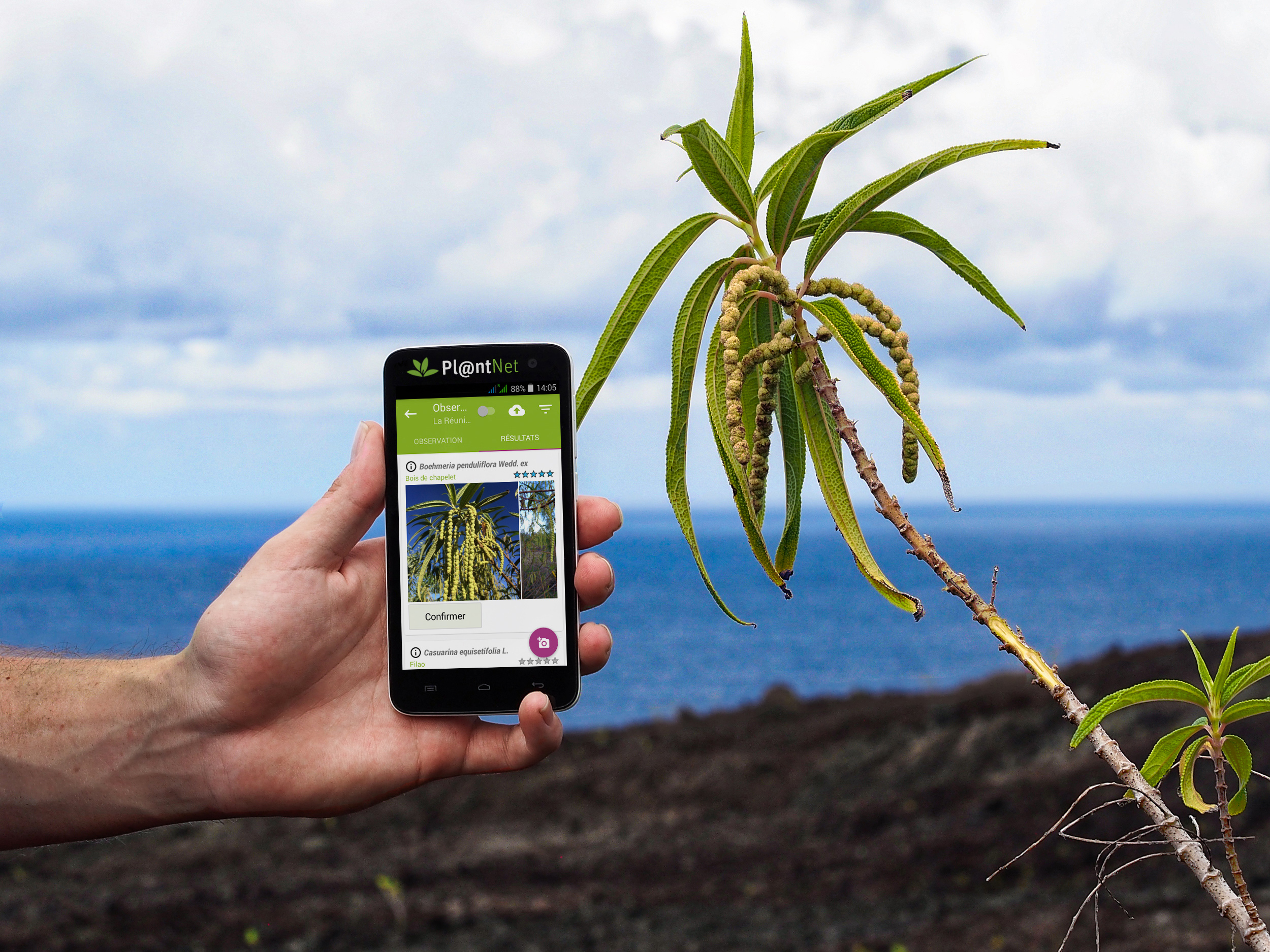  8 Best Plant Identification Apps to Better Connect with Nature