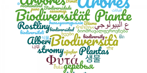 plant related word cloud in many languages