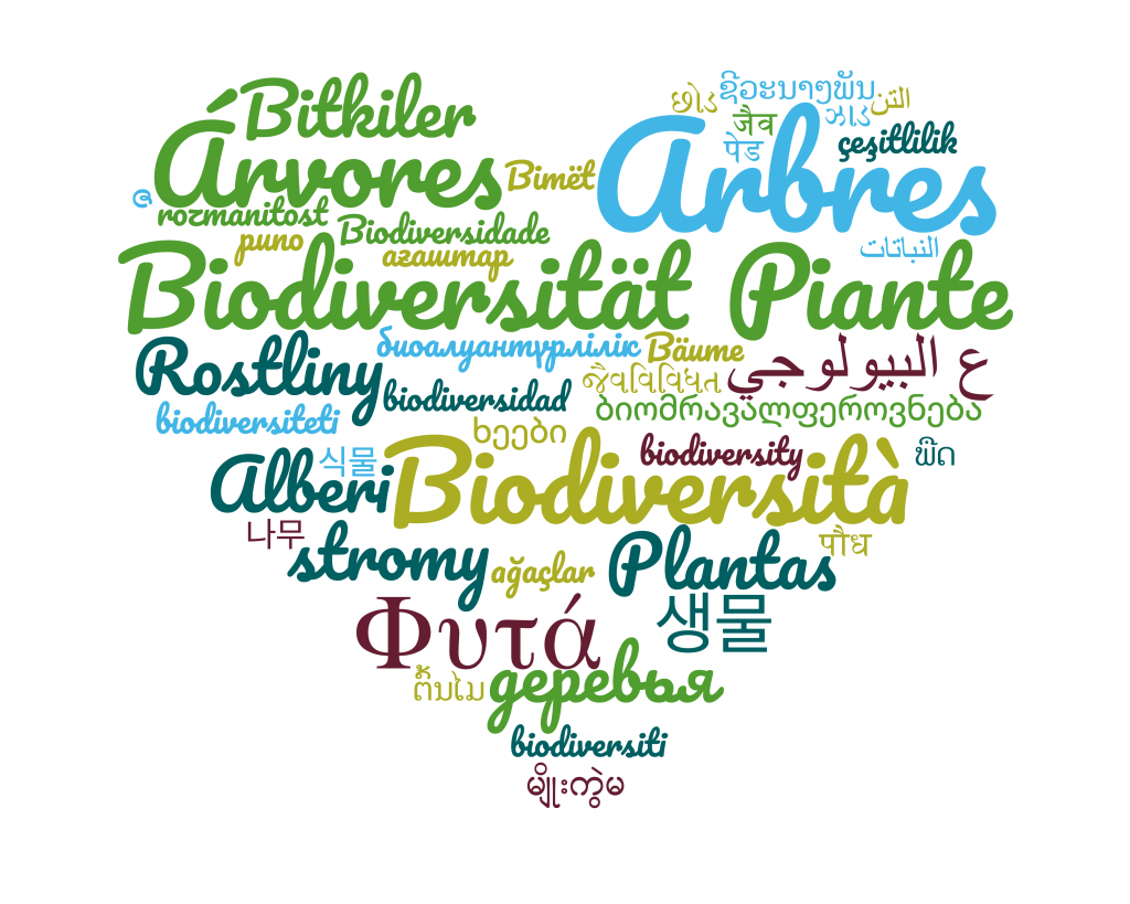nuage de mots liées au plante dans plusieurs langues